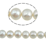 Perles de nacre rondes de culture d'eau douce, perle d'eau douce cultivée, naturel, blanc, grade A, 11-12mm, Trou:Environ 0.8mm, Vendu par Environ 15.5 pouce brin