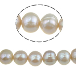 Perles de nacre rondes de culture d'eau douce, perle d'eau douce cultivée, naturel, violet, grade A, 10-11mm, Trou:Environ 0.8mm, Vendu par 15.5 pouce brin