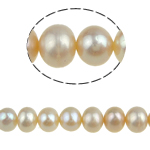 Button Kulturan Slatkovodni Pearl perle, Krug, 6-7mm, Rupa:Približno 0.8mm, Prodano Per Približno 15 inčni Strand