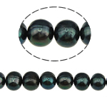 Runde ferskvandskulturperle Beads, Ferskvandsperle, naturlig, sort, klasse A, 9-10mm, Hole:Ca. 0.8mm, Solgt Per Ca. 14 inch Strand