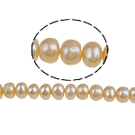 Button Kulturan Slatkovodni Pearl perle, roze, 5-6mm, Rupa:Približno 0.8mm, Prodano Per 15 inčni Strand
