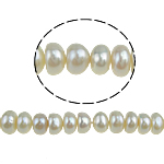Button Kulturan Slatkovodni Pearl perle, bijel, 5-6mm, Rupa:Približno 0.8mm, Prodano Per 15 inčni Strand