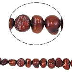 Perles nacres baroques de culture d'eau douce , perle d'eau douce cultivée, couleur rouge de café, 4-5mm, Trou:Environ 0.8mm, Vendu par 14 pouce brin