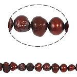Perles nacres baroques de culture d'eau douce , perle d'eau douce cultivée, rouge foncé, 4-5mm, Trou:Environ 0.8mm, Vendu par 14.5 pouce brin
