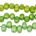 Barock odlad sötvattenspärla pärlor, Freshwater Pearl, blandade färger, 5-6mm, Hål:Ca 0.8mm, Längd 15 inch, 10Strands/Bag, Säljs av Bag