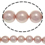 South Sea Shell perler, Runde, lyserød, 14mm, Hole:Ca. 1mm, 27pc'er/Strand, Solgt Per 16 inch Strand