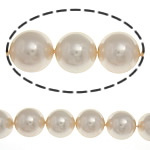 South Sea Shell Beads, Round, Champagne, 14mm, Hole:Approx 1mm, 28PCs/Strand, Sold Per 15.5 Inch Strand