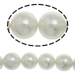 South Sea Shell perle, Krug, bijel, 16mm, Rupa:Približno 1mm, 24računala/Strand, Prodano Per 15 inčni Strand