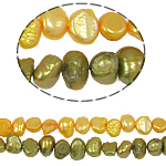 Cultured Baroque Freshwater Pearl Beads, mixed colors, 5-6mm, Hole:Approx 0.8mm, Length:14.5 Inch, 10Strands/Bag, Sold By Bag