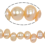 Perles nacres baroques de culture d'eau douce , perle d'eau douce cultivée, rose, grade A, 6-7mm, Trou:Environ 0.8mm, Vendu par 14.5 pouce brin