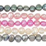 Barok ferskvandskulturperle Beads, Ferskvandsperle, blandede farver, klasse A, 7-8mm, Hole:Ca. 0.8mm, Solgt Per 14.5 inch Strand
