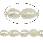 Barock odlad sötvattenspärla pärlor, Freshwater Pearl, vit, Grade A, 10-11mm, Hål:Ca 0.8mm, Såld Per 14.5 inch Strand