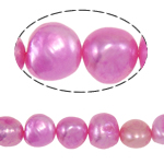Perles nacres baroques de culture d'eau douce , perle d'eau douce cultivée, rose, grade A, 10-11mm, Trou:Environ 0.8mm, Vendu par 14.5 pouce brin