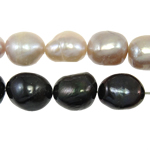 Kartoffel ferskvandskulturperle Beads, Ferskvandsperle, naturlig, to forskellige farvede, klasse A, 11-12mm, Hole:Ca. 0.8mm, Længde 14.5 inch, 10Strands/Bag, Solgt af Bag