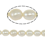Riso coltivato in perla d'acqua dolce, perla d'acquadolce coltivata naturalmente, naturale, bianco, grado A, 5-6mm, Foro:Appross. 0.8mm, Venduto per Appross. 14 pollice filo