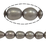 Riso coltivato in perla d'acqua dolce, perla d'acquadolce coltivata naturalmente, naturale, grigio, grado A, 5-6mm, Foro:Appross. 0.8mm, Venduto per 14.5 pollice filo