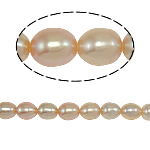 Perles d'eau douce de culture de riz, perle, ovale, rose, grade A, 7-8mm, Trou:Environ 0.8mm, Vendu par 15 pouce brin