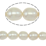 Riso coltivato in perla d'acqua dolce, perla d'acquadolce coltivata naturalmente, naturale, bianco, grado A, 6-7mm, Foro:Appross. 0.8mm, Venduto per Appross. 15 pollice filo