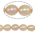 Ris odlad sötvattenspärla pärlor, Freshwater Pearl, naturlig, rosa, Grade A, 7-8mm, Hål:Ca 0.8mm, Såld Per 15 inch Strand