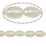 Cultured Rice Freshwater Pearl Beads, natural, white, Grade A, 6-7mm, Hole:Approx 0.8mm, Sold Per Approx 14 Inch Strand