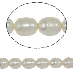 Perlas Arroz Freshwater, Perlas cultivadas de agua dulce, natural, Blanco, Grado A, 8-9mm, agujero:aproximado 0.8mm, Vendido para 15 Inch Sarta