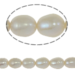 Perlas Arroz Freshwater, Perlas cultivadas de agua dulce, natural, Blanco, Grado A, 8-9mm, agujero:aproximado 0.8mm, Vendido para 15 Inch Sarta