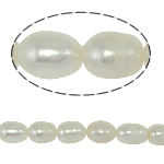Perlas Arroz Freshwater, Perlas cultivadas de agua dulce, natural, Blanco, Grado A, 8-9mm, agujero:aproximado 0.8mm, Vendido para 14.5 Inch Sarta