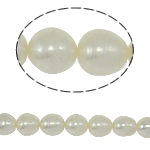 Ris odlad sötvattenspärla pärlor, Freshwater Pearl, naturlig, vit, Grade A, 8-9mm, Hål:Ca 0.8mm, Såld Per 15 inch Strand