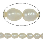 Cultured Rice Freshwater Pearl Beads, natural, white, Grade A, 8-9mm, Hole:Approx 0.8mm, Sold Per 14 Inch Strand