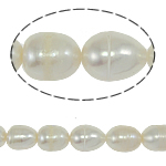 Rice ferskvandskulturperle Beads, Ferskvandsperle, Ris, naturlig, hvid, klasse A, 9-10mm, Hole:Ca. 0.8mm, Solgt Per 14.5 inch Strand