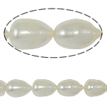 Perles d'eau douce de culture de riz, perle d'eau douce cultivée, naturel, blanc, grade A, 10-11mm, Trou:Environ 0.8mm, Vendu par 15 pouce brin