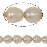 Riso coltivato in perla d'acqua dolce, perla d'acquadolce coltivata naturalmente, naturale, rosa, Grade AA, 10-11mm, Foro:Appross. 0.8mm, Venduto per 15.7 pollice filo