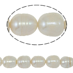 Perlas Arroz Freshwater, Perlas cultivadas de agua dulce, natural, Blanco, Grado A, 12-13mm, agujero:aproximado 0.8mm, Vendido para 15 Inch Sarta