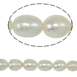 Perlas Arroz Freshwater, Perlas cultivadas de agua dulce, natural, Blanco, Grado A, 10-11mm, agujero:aproximado 0.8mm, Vendido para 14.5 Inch Sarta