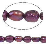 Barock odlad sötvattenspärla pärlor, Freshwater Pearl, lila röd, Grade A, 9-10mm, Hål:Ca 0.8mm, Såld Per 14.5 inch Strand
