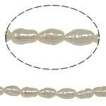 Cultured Rice Freshwater Pearl Beads, natural, white, Grade A, 2.5-3mm, Hole:Approx 0.8mm, Sold Per Approx 13.5 Inch Strand