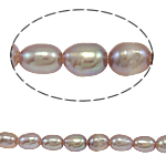 Perlas Arroz Freshwater, Perlas cultivadas de agua dulce, natural, Púrpura, Grado A, 2-3mm, agujero:aproximado 0.8mm, Vendido para 14.5 Inch Sarta