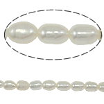 Rice ferskvandskulturperle Beads, Ferskvandsperle, Ris, naturlig, hvid, klasse A, 3-4mm, Hole:Ca. 0.8mm, Solgt Per 14.5 inch Strand