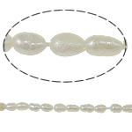 Perles d'eau douce de culture de riz, perle d'eau douce cultivée, naturel, blanc, grade A, 3-4mm, Trou:Environ 0.8mm, Vendu par 15 pouce brin
