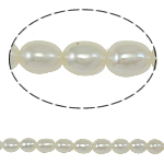 Cultured Rice Freshwater Pearl Beads, natural, white, Grade A, 3mm, Hole:Approx 0.8mm, Sold Per Approx 14.8 Inch Strand