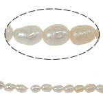 Perlas Arroz Freshwater, Perlas cultivadas de agua dulce, natural, Blanco, Grado A, 2-3mm, agujero:aproximado 0.8mm, Vendido para 15 Inch Sarta