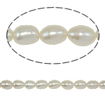 Ryžiai Kultūringas gėlavandenių perlų karoliukai, Gėlo vandens perlų, natūralus, baltas, Įvertinimas, 4-5mm, Skylė:Apytiksliai 0.8mm, Parduota už 14 Inch Strand