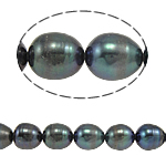 Cultured Rice Freshwater Pearl Beads, natural, green, Grade A, 8-9mm, Hole:Approx 0.8mm, Sold Per 15 Inch Strand