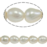 Perles d'eau douce de culture de riz, perle d'eau douce cultivée, naturel, blanc, grade A, 9-10mm, Trou:Environ 0.8mm, Vendu par 15 pouce brin