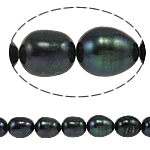 Perlas Arroz Freshwater, Perlas cultivadas de agua dulce, natural, Negro, Grado A, 9-10mm, agujero:aproximado 0.8mm, Vendido para 14.5 Inch Sarta