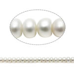 Button Kulturan Slatkovodni Pearl perle, bijel, Razred AAA, 5-6mm, Rupa:Približno 0.8mm, Prodano Per Približno 14.5 inčni Strand