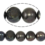 Barocco coltivate in acqua dolce Perla, perla d'acquadolce coltivata naturalmente, nero, Grade AA, 12-13mm, Foro:Appross. 0.8mm, Venduto per 15 pollice filo