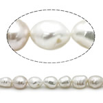 Barock odlad sötvattenspärla pärlor, Freshwater Pearl, vit, Grade A, 8-9mm, Hål:Ca 0.8mm, Såld Per 15 inch Strand