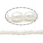 Barock kultivierten Süßwassersee Perlen, Natürliche kultivierte Süßwasserperlen, weiß, Grad AAA, 11-12mm, Bohrung:ca. 0.8mm, verkauft per 15 ZollInch Strang