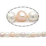 Perles nacres baroques de culture d'eau douce , perle d'eau douce cultivée, couleurs mélangées, grade AAA, 11-12mm, Trou:Environ 0.8mm, Vendu par 15 pouce brin